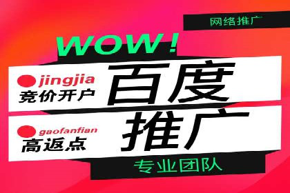 百度SEO推广公司案例解析：揭秘关键词优化技巧