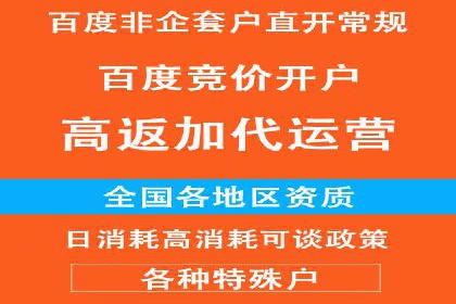 案例分享：百度推广助力企业实现多元化发展